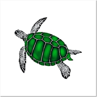 Turtle Posters and Art